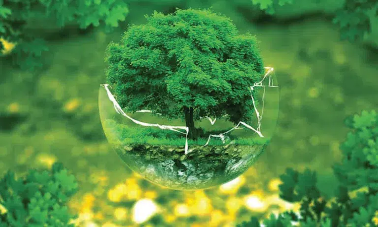 Le Fonds vert pour le climat, un levier pour aller plus loin