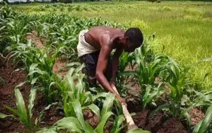 Casser les silos pour libérer la croissance : La nouvelle stratégie togolaise