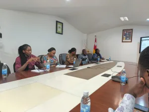 Financement participatif au Togo : Une alternative aux crédits bancaires