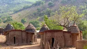 L’ONU Tourisme offre des bourses d’études gratuites aux étudiants et professionnels du secteur