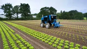 L’accroissement des rendements, le résultat d’une politique agricole togolaise fiable