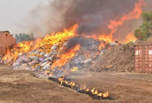 Togo : Plus de 50 tonnes de drogues saisies et détruites en 2025