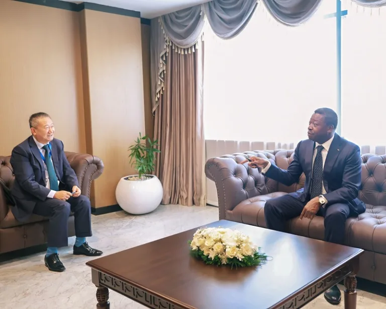 Paix et stabilité en Afrique : Le Président du Conseil échange avec une délégation des Nations unies