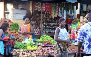 Togo : L’inflation reste stable à 0,1 % en juin 2026