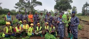 Reboisement au Togo : Un milliard d’arbres pour restaurer les forêts d’ici 2030