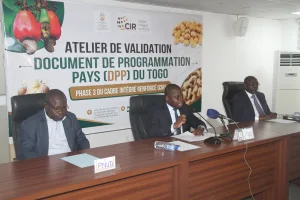 Togo : Une nouvelle stratégie pour booster le commerce et les investissements d’ici 2031