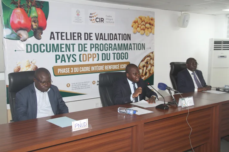 Togo : Une nouvelle stratégie pour booster le commerce et les investissements d’ici 2031