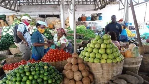 Inflation au Togo : L’IHPC recule de 2 % en août 2026, première baisse en un an