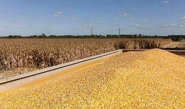 Sécurité alimentaire